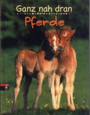 Ganz nah dran : Pferde