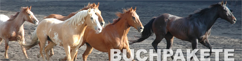 Buchpakete