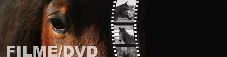 Filme/DVD
