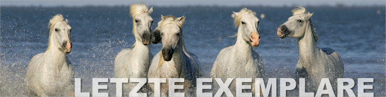 Letzte Exemplare