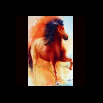 Kunstdrucke/Poster Pferd 30x40