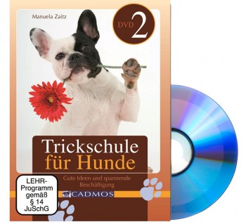 DVD Hund