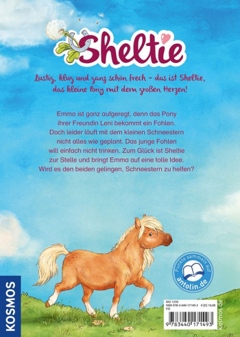 Sheltie - Sheltie und das kleine Fohlen