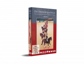 DVD Bundle Quadrillenreiten mit 2 Filmen (über 2,1 Stunden Laufzeit)