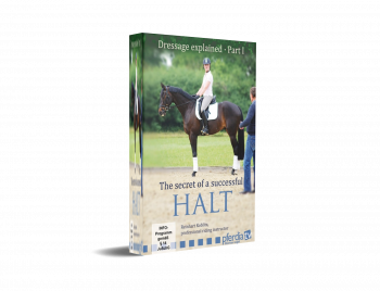 DVD Bundle Dressage Explained 1 - 4 (Englisch) mit Gesamt über 4,3 Stunden Laufzeit