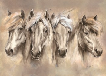 2 Pferdeposter - Kunstdrucke 50 x 70 cm Motiv 3 Islandpferde & Freundschaft