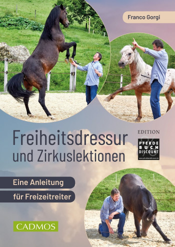 Freiheitsdressur und Zirkuslektionen - Eine Anleitung für Freizeitreiter