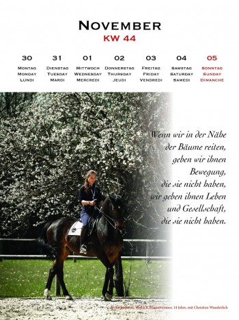 Kalender Manuel Jorge de Oliveira Literarische Leckerbissen 2023 - Wochenkalender