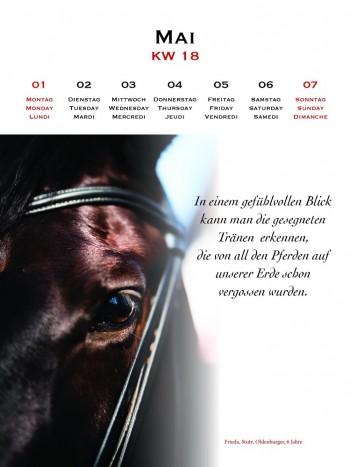 Kalender Manuel Jorge de Oliveira Literarische Leckerbissen 2023 - Wochenkalender