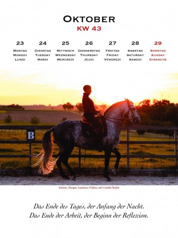 Kalender Manuel Jorge de Oliveira Literarische Leckerbissen 2023 - Wochenkalender