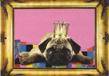 Postkartenset Edition Mopsfidele Grüsse mit 10 Postkarten für alle Gelegenheiten
