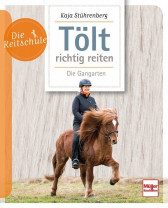 Tölt richtig reiten Die Gangarten