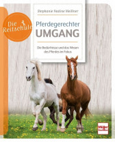 Pferdegerechter Umgang Die Bedürfnisse und das Wesen des Pferdes im Fokus