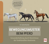 Bewegungsmuster beim Pferd Gesunderhaltung durch Kenntnisse der funktionellen Anatomie