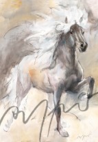 Pferdeposter - Kunstdruck Motiv Islandpferd Nett