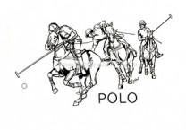 Auto Aufkleber Polo Großformat Silber