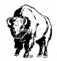 Auto Aufkleber Bison schwarz links