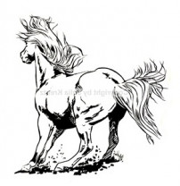 Auto Aufkleber Wild Horse - schwarz Großformat links