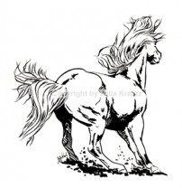 Auto Aufkleber Wild Horse - silber Großformat Auto Aufkleber Wild Horse - silber Großformat