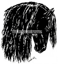 Auto Aufkleber Friesenkopf dunkel - Großformat schwarz rechts