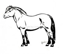 Auto Aufkleber Fjordpferd stehend schwarz Großformat Auto Aufkleber Fjordpferd stehend schwarz Großformat