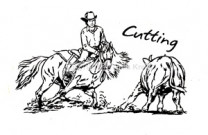 Auto Aufkleber Cutting