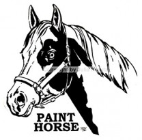 Auto Aufkleber Paint Horse-  silber Großformat