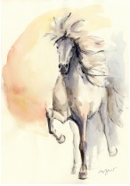 Klappkarte Islandpferdemotiv Disa mit Umschlag Klappkarte Islandpferdemotiv Disa mit Umschlag