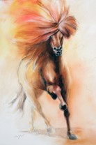 Leinwanddruck Islandpferd Abel. Abmessungen: 55 x 90 cm