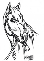 Auto Aufkleber Quarterkopf stilisiert rechts silber Auto Aufkleber Quarterkopf stilisiert rechts silber