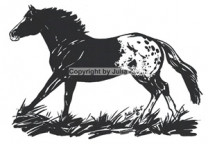 Auto Aufkleber Appaloosa galoppierend silber Auto Aufkleber Appaloosa galoppierend silber