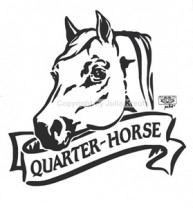 Auto Aufkleber Quarterkopf Bordüre schwarz Auto Aufkleber Quarterkopf Bordüre schwarz