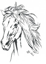 Auto Aufkleber Camargue Pferdekopf links schwarz Großformat Auto Aufkleber Camargue Pferdekopf links schwarz Großformat