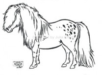 Auto Aufkleber Shetty stehend silber Auto Aufkleber Shetty stehend silber