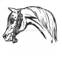 Auto Aufkleber Arabian Horse schwarz Großformat ohne Schriftzug
