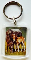 Plexiglas Schlüsselanhänger mit Pferdemotiv 02 Plexiglas Schlüsselanhänger mit Pferdemotiv 02