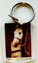 Plexiglas Schlüsselanhänger mit Pferdemotiv 04 Plexiglas Schlüsselanhänger mit Pferdemotiv 04