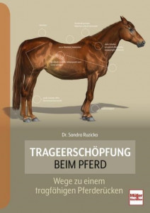 Trageerschöpfung beim Pferd - Wege zu einem tragfähigen Pferderücken