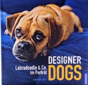Designer Dogs - Labradoodle & Co im Portrait
