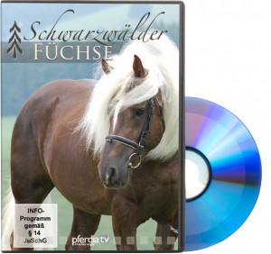 DVD Schwarzwälder Füchse