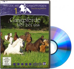 DVD Freude mit Gangpferden Teil 1: Gangpferde hier bei uns