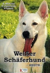 Weißer Schäferund - Heute -