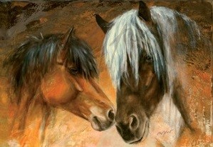 Pferdepostkarte Islandpferde Rubin & Eros - Thomas Aeffner