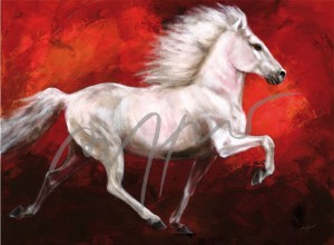 Leinwanddruck Pferdemotiv Lara 80 x 100 cm