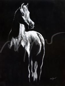 Pferdeposter - Kunstdruck Motiv Neugier
