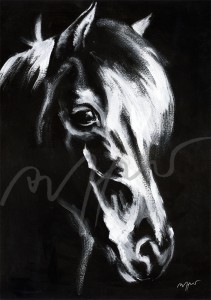 Pferdeposter - Kunstdruck Motiv Mundifari