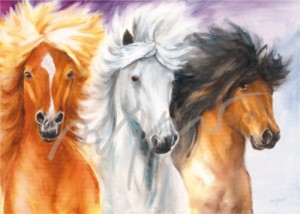 Pferdeposter - Kunstdruck 50 x 70 cm Motiv 3 Islandpferde