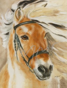 Pferdeposter - Kunstdruck Motiv Fjordpferdekopf