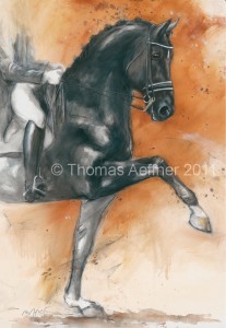 Pferdeposter - Kunstdruck 50 x 70 cm Dressurpferd Winston