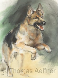 Hundeposter - Kunstdruck Motiv Schäferhund